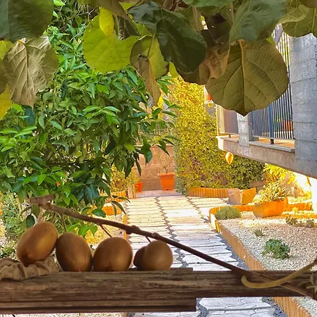 Il Corbezzolo Pensionat Linguaglossa