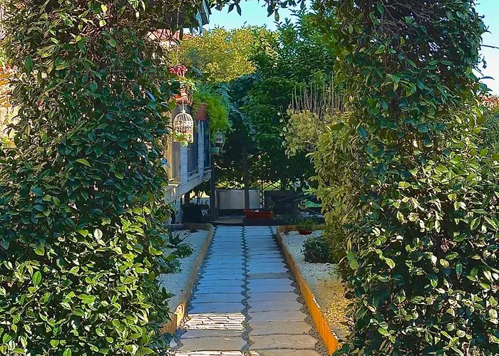 Il Corbezzolo
